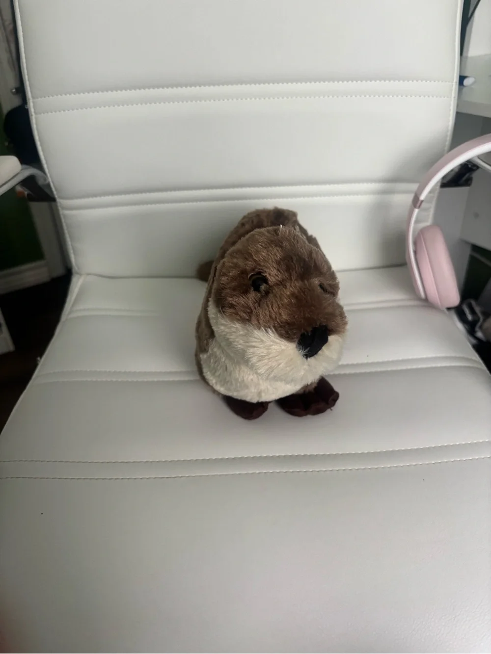 Brown Plush Otter - Soft Small Pet Toy